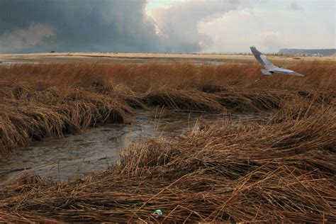 Instagram post by Shany Tillman #3