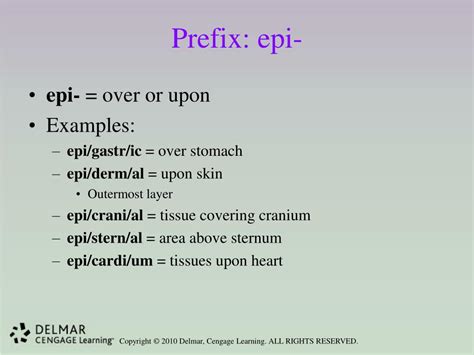 Epi Prefix Meaning