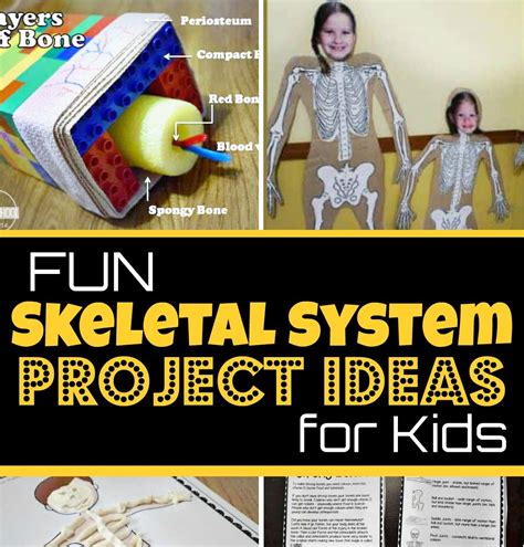 Epic Skeletal System Projects Ideas For Kids Skeletal System For 5th Grade - Skeletal System For 5th Grade