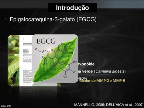 epigalocatequina-4