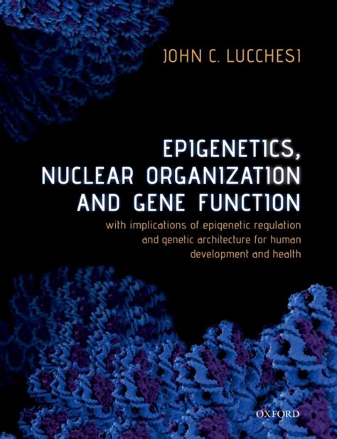 Epigenetics Nuclear Organization Gene Function Wi