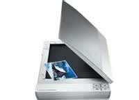 Download Epson V100 Scanner User Guide 
