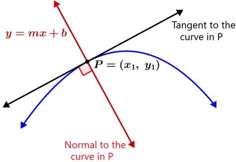 Equation Of A Curve