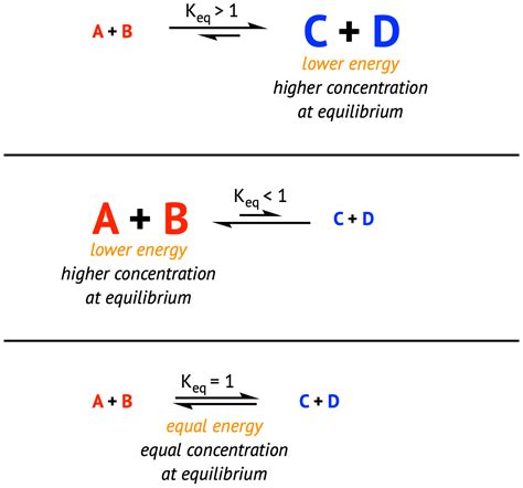 Equilibria Equilibrium Constants And Acid Bases Worksheet Key Conjugate Acid Base Worksheet - Conjugate Acid Base Worksheet
