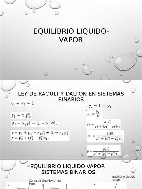 equilibrio liquido vapor pdf