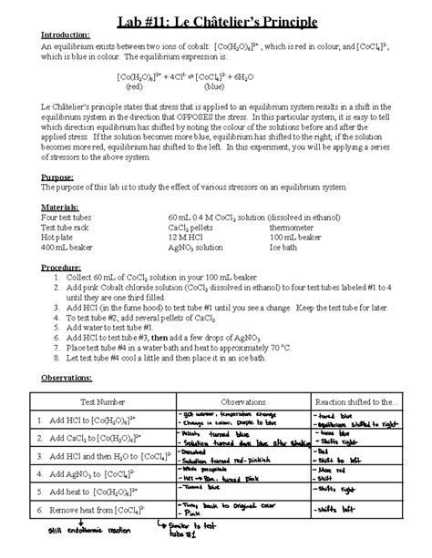 Equilibrium Lab Report