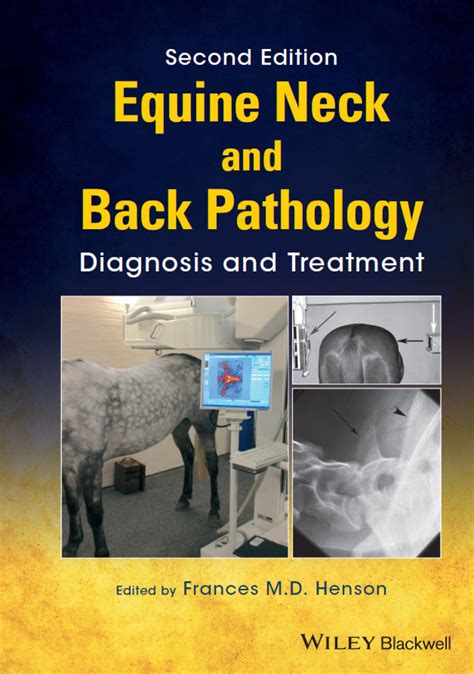 equine neck and back pathology diagnosis and trea