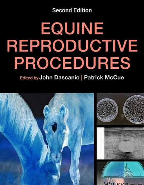 Equine Reproductive Procedures