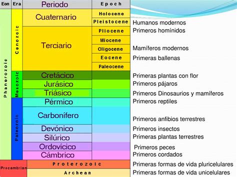 Eras Geologicas Que Son