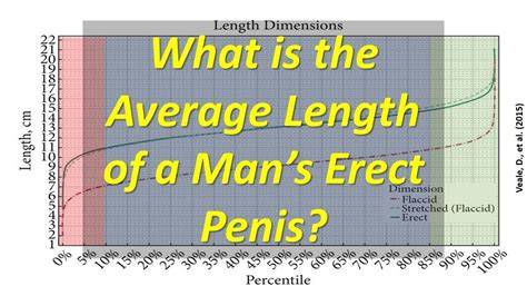 erect nude men