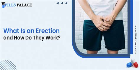 erection nudes