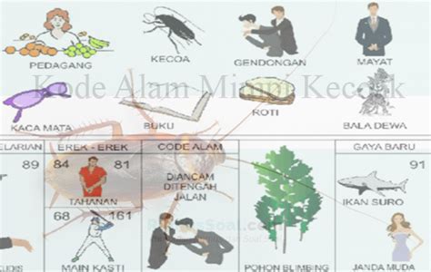 EREK EREK KECOA 🌋 Erek Erek Kecoa 2D 3D 4D Menurut Buku Mimpi dan Kode Alam