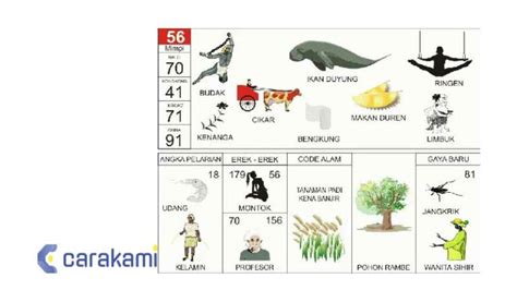 Mengenal Buku Mimpi Erek Erek 56: Arti Mimpi dan Panduan Introspeksi Jiwa