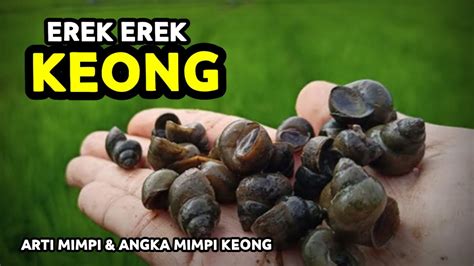 EREK EREK KEONG - Kode Alam Mimpi Keong | 10+ Angka Jitu 99% Akurat