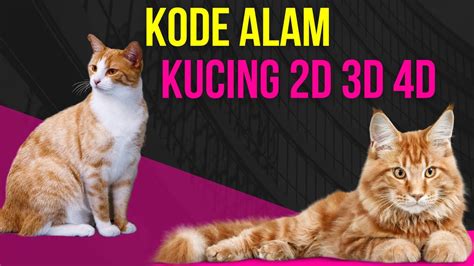 Cari Angka Kucing? Ini Ramalan Jitu Erek Erek Kucing 4D Edisi 8 Juni 2026