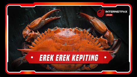 EREK2 KEPITING 🦇 Erek Erek Kepiting 2D 3D 4D Menurut Buku Mimpi dan Kode Alam