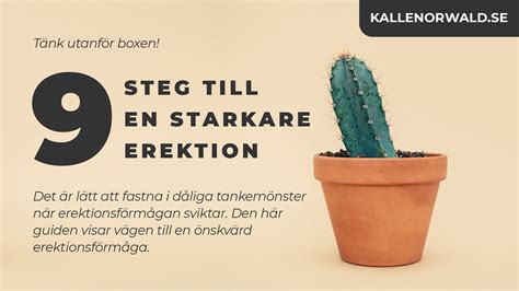 erektionsproblem alkohol