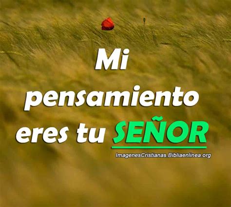eres tu senor