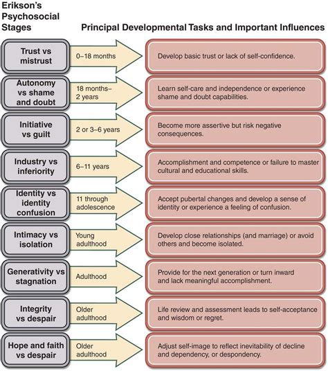 erik eriksons stages of development worksheet
