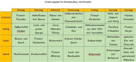 ernährungsplan für muskelaufbau po