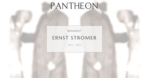 ernst stromer biography
