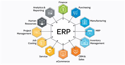 Full Download Erp E Business A New Vision Of Enterprise System 