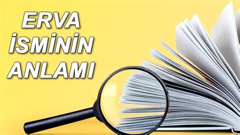 Erva Ne Demek