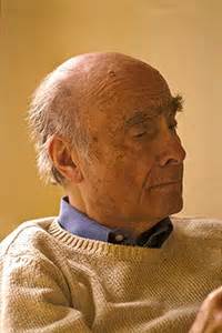 erving polster biography of albert