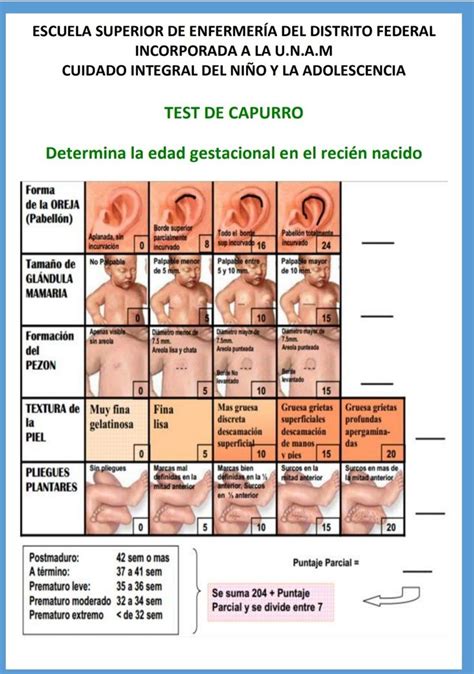 Escala De Capurro