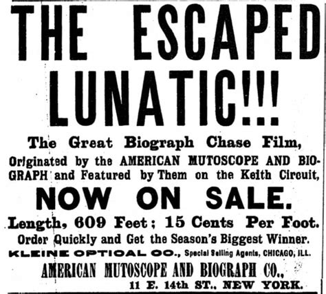 Escaped Lunatic