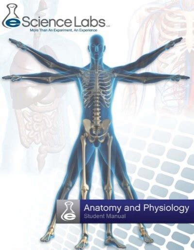 Full Download Escience Labs Answers Anatomy And Physiology 2 