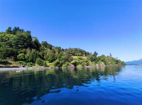 escorts universitarias en lago ranco