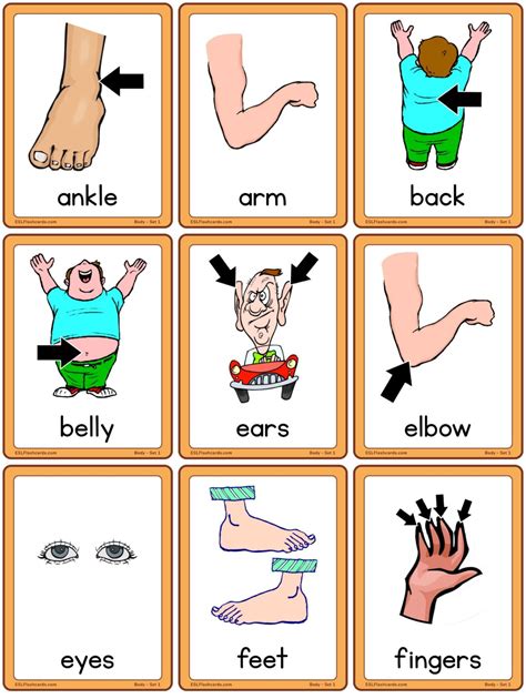 Esl Kids Esl Flashcards Body Parts Preschool Body Parts Flashcards Printable - Preschool Body Parts Flashcards Printable
