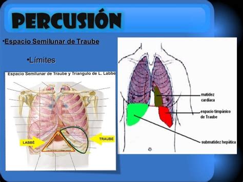 Espacio De Traube