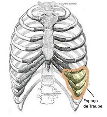 Espaco De Traube