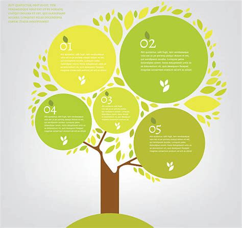 Esquema De Arbol