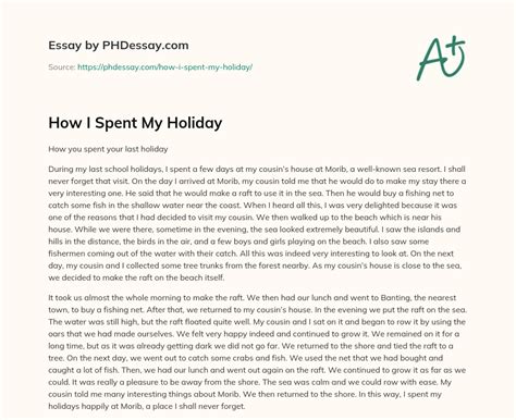 Essay About Holiday