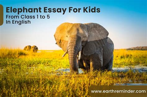 Essay On Elephant