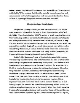 Essays For 8th Graders Chad Amp Karina 8th Grade Article - 8th Grade Article