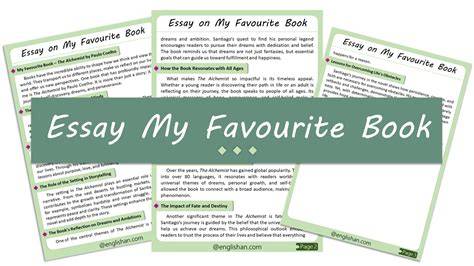 essays my book