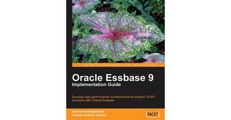 Read Essbase Scripts Guide 