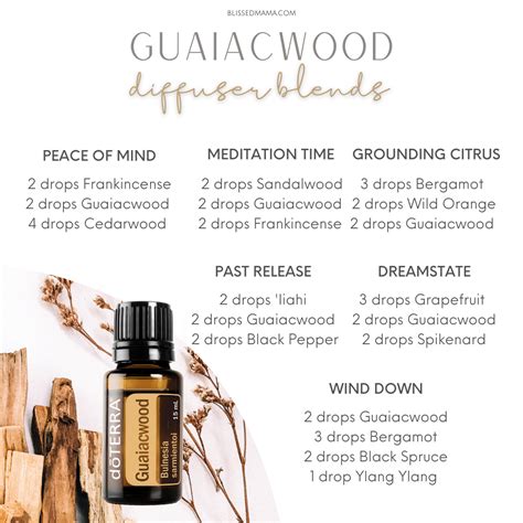 essential | Black Pique Polo Essential Cotton Nano MENBOX