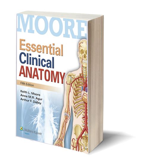 Essential Clinical Anatomy