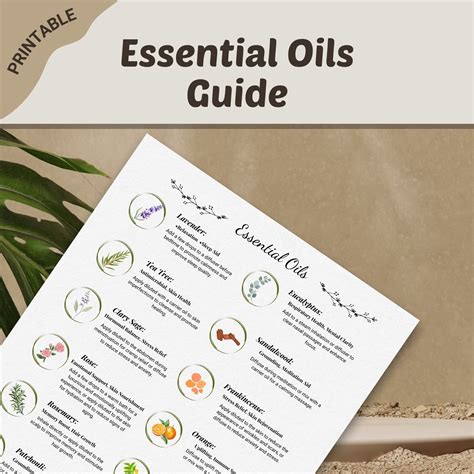 essential guide to aromatherapy and vibrational he