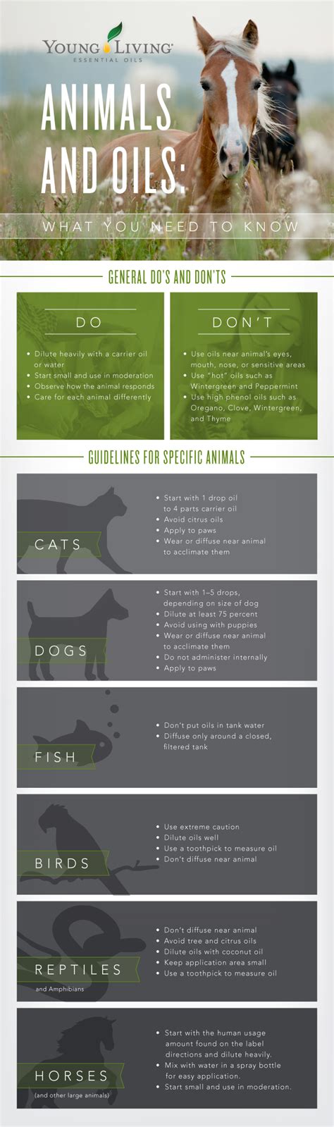 essential oils for animals a complete guide to ani