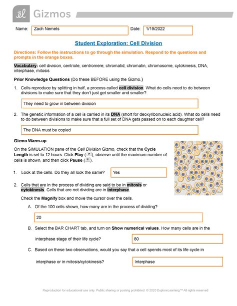 Read Essential Biology 25 Cell Division Answers 