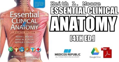 Read Online Essential Clinical Anatomy 4Th Edition Online 