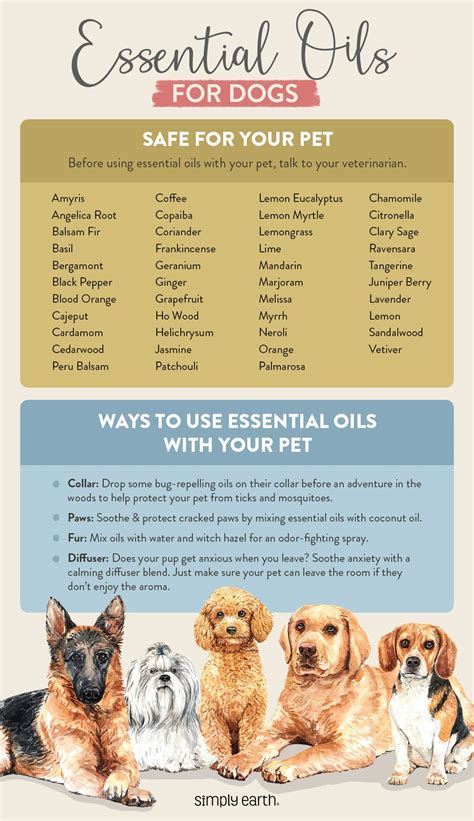 Read Essential Oils For Dogs The Complete Guide To Safe And Simple Ways To Use Essential Oils For A Happier Relaxed And Healthier Dog Essential Oils Natural Dog Remedies Holistic Medicine 