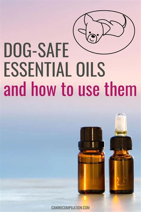 Read Online Essential Oils For Dogs The Complete Guide To Safely Using Essential Oils On Your Dog Essential Oils Aromatherapy Essential Oils For Puppies Dog Care Remedies Essential Oils For Pets Book 1 