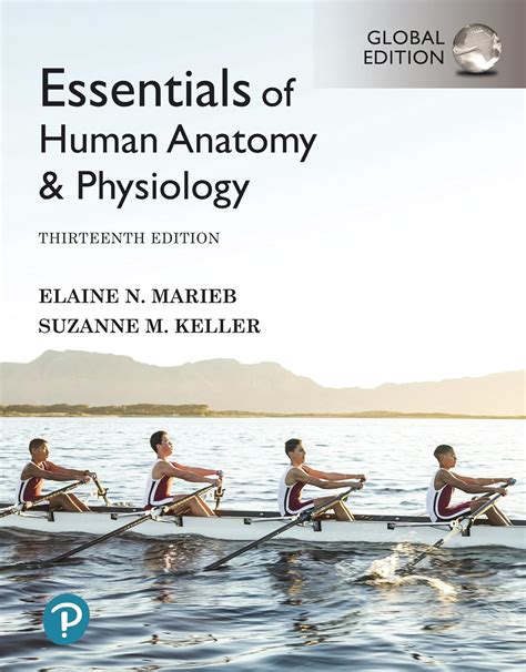 Essentials Of Anatomy Physiology